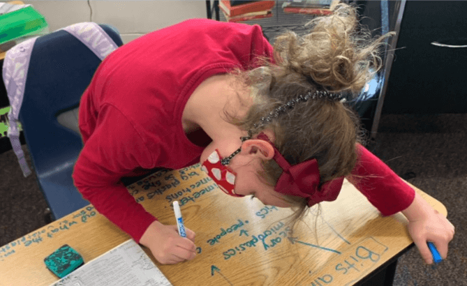 Sea Turtle Inquiry Project