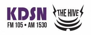 kdsn-hive-logo KDSN logo